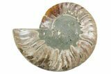 Cut & Polished Ammonite Fossil (Half) - Madagascar #354176-1
